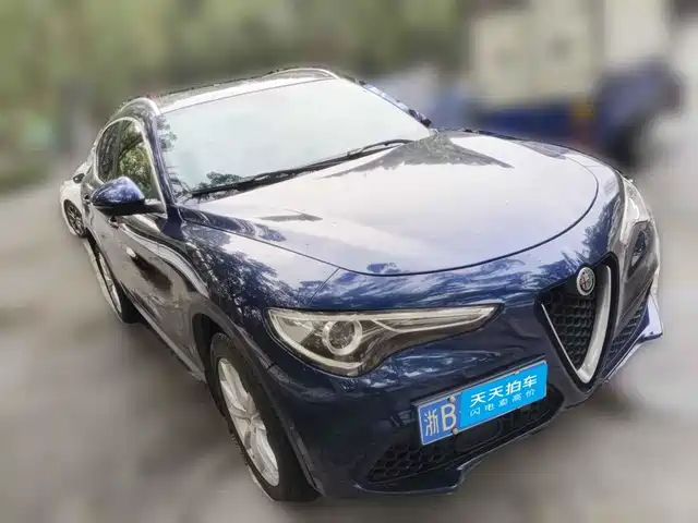 Alfa Romeo Stelvio 2017 2.0T 200HP Luxury Edition — фото 3