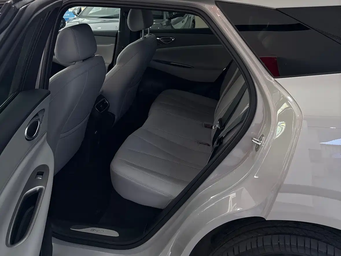 BYD SEA LION 06 NEW ENERGY