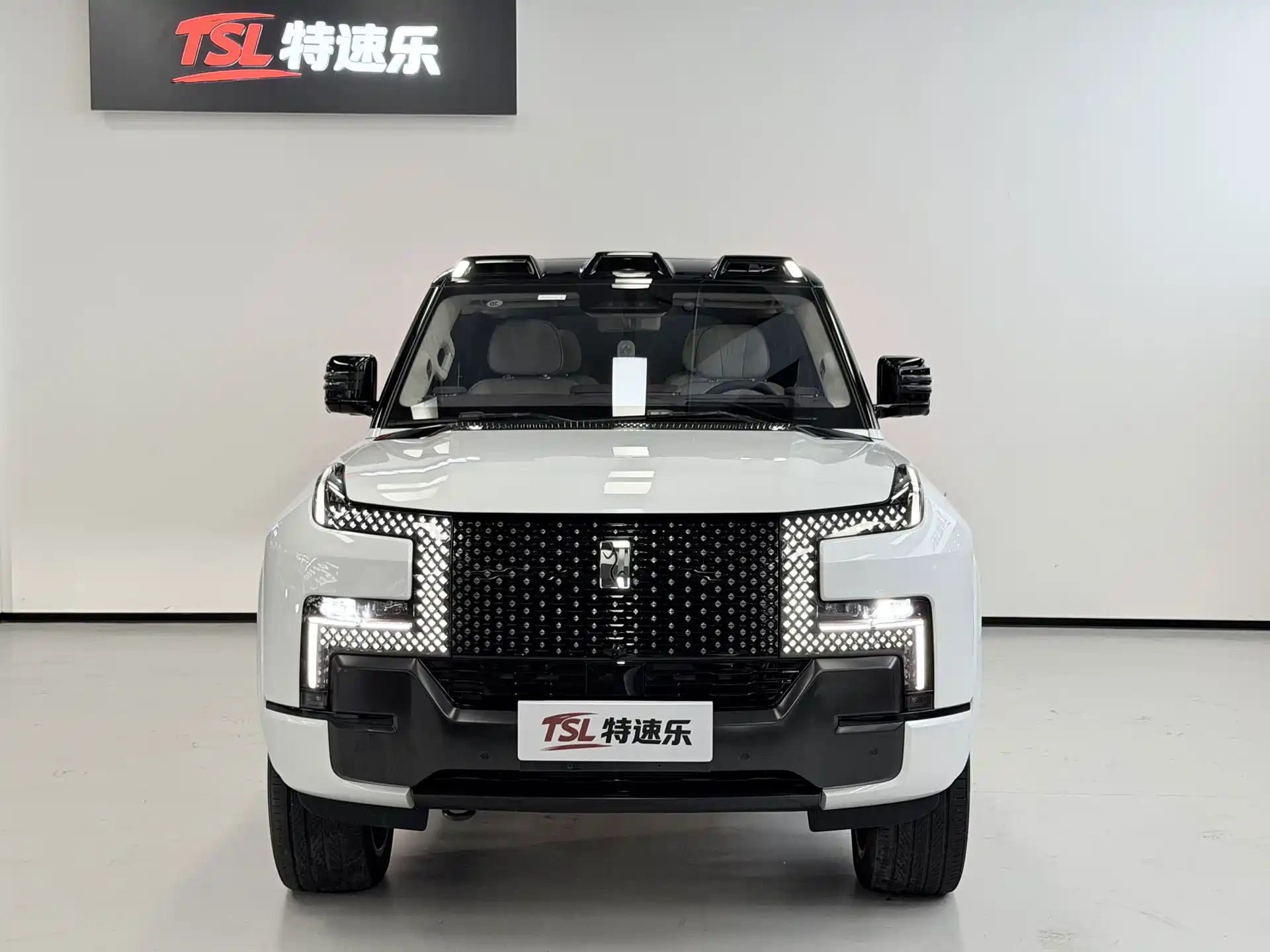 Фото 2 - Yangwang U8 L