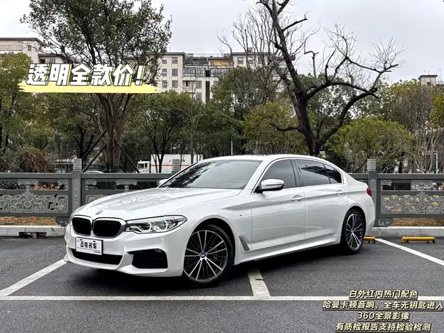 BMW 5 SERIES