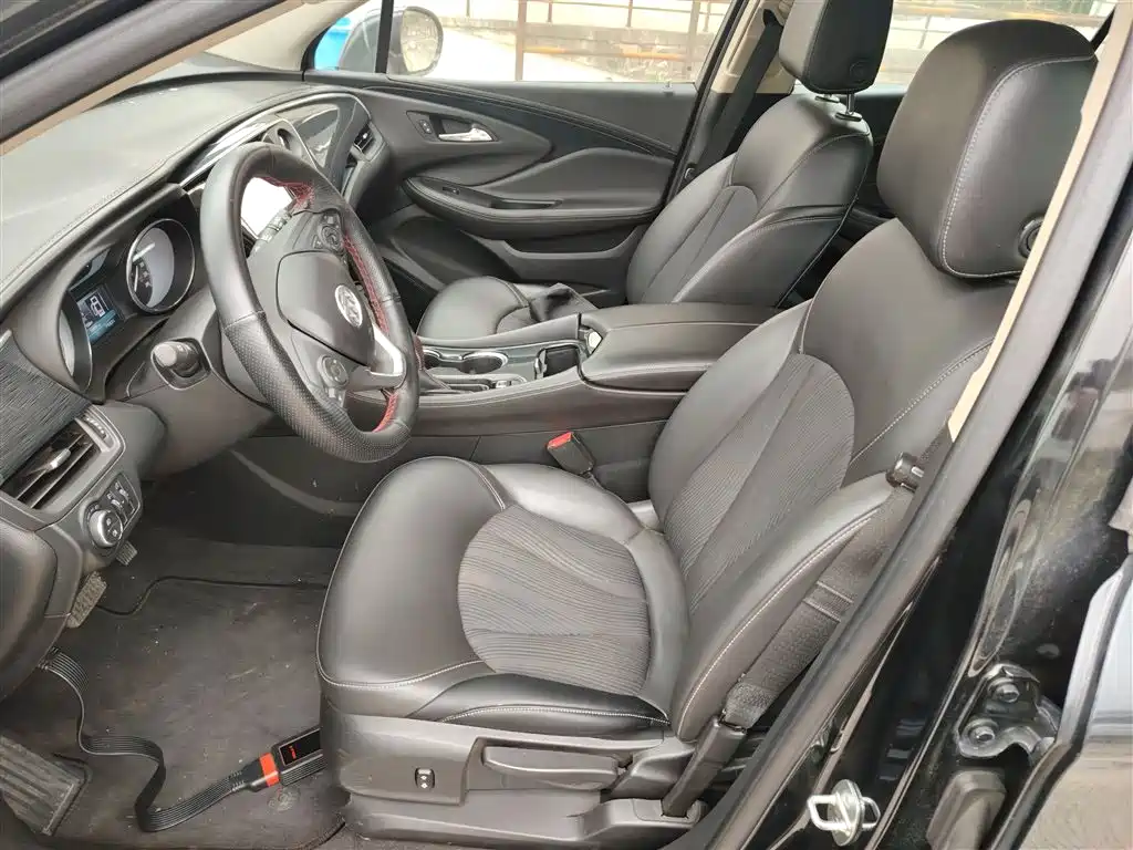 Buick Envision Plus 2017 20T FWD Premium фото 15
