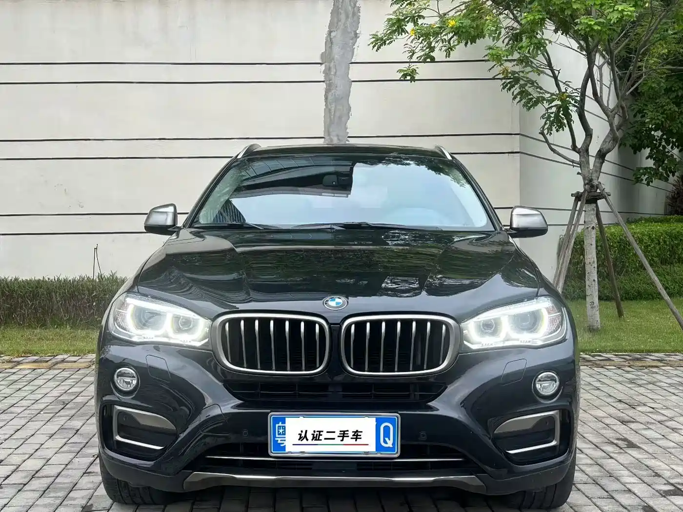 صورة 2 - BMW X6