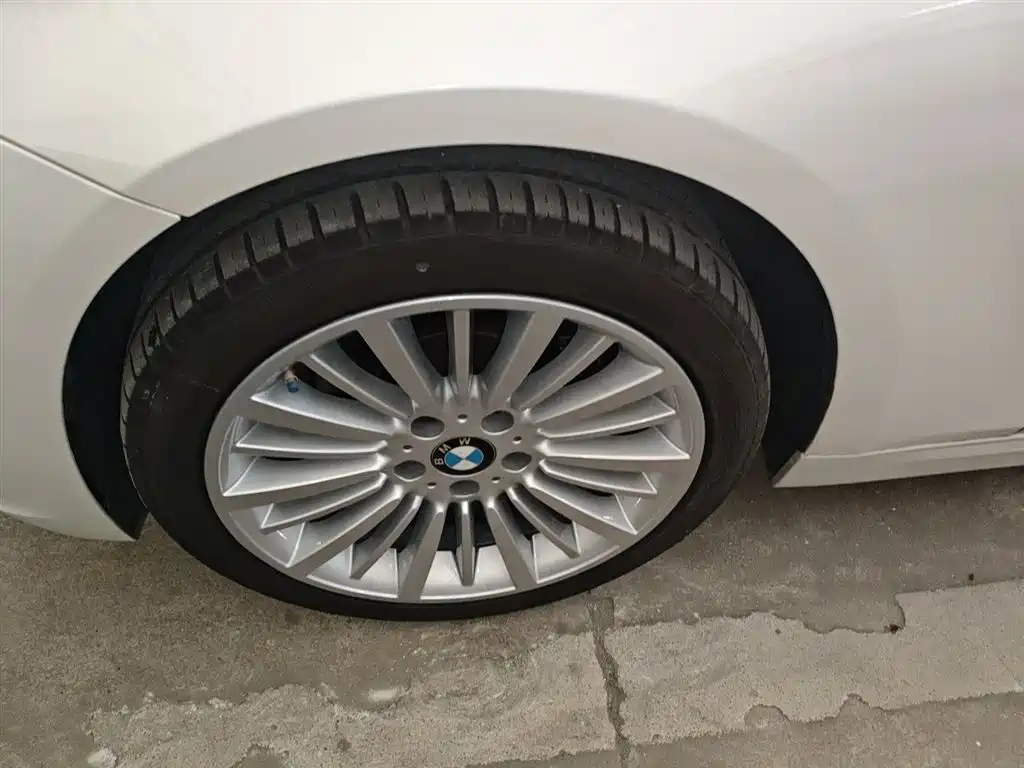 BMW 3 Series 2018 320Li Fashion Style фото 23