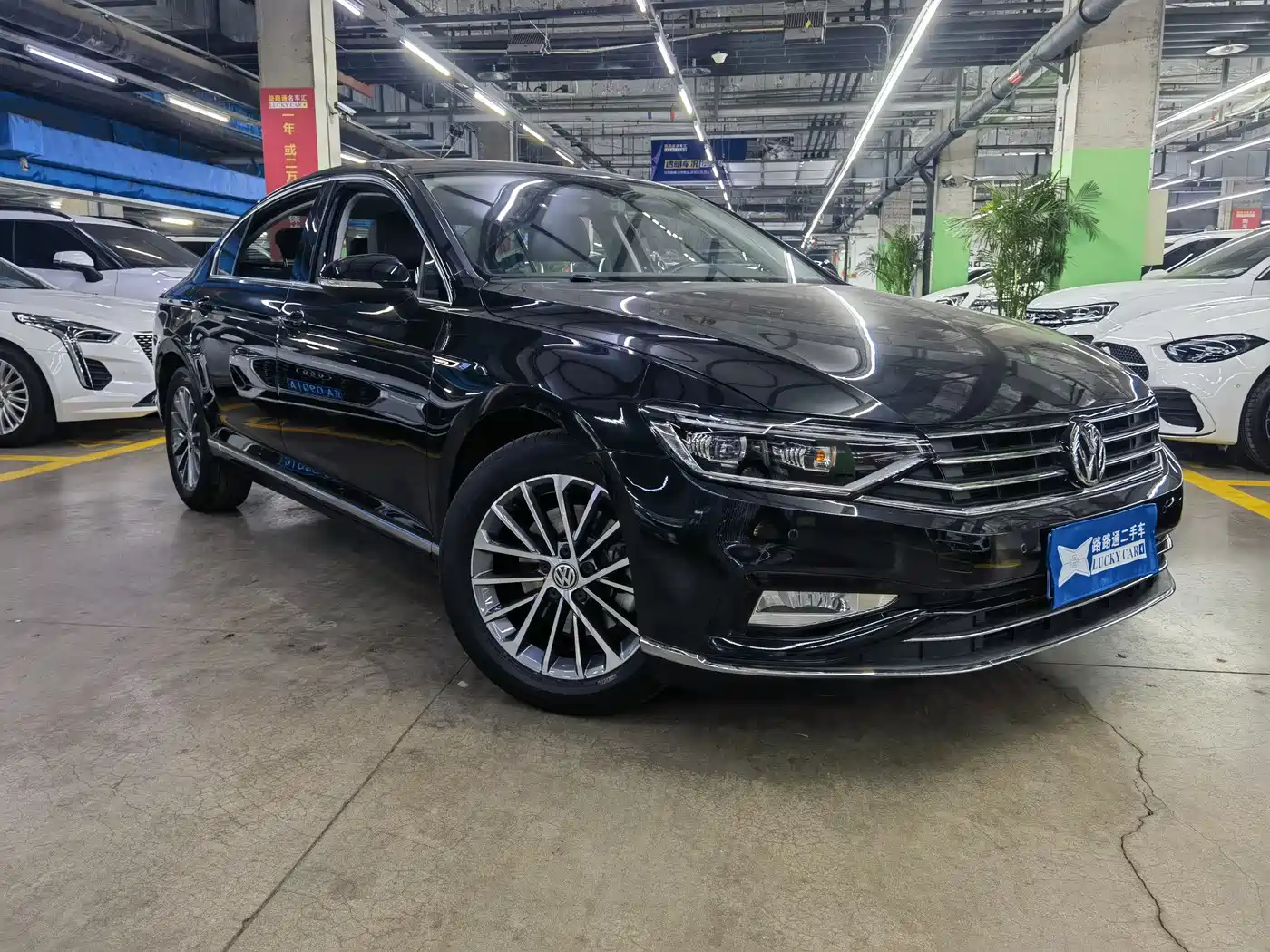 Volkswagen Magotan 2020 330TSI DSG Luxury фото 3