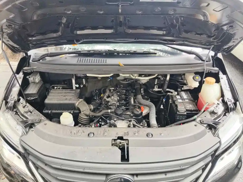 2026 Dongfeng Fengxing Lingzhi