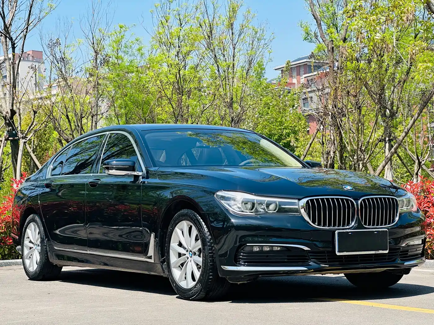 BMW 7 Series 2016 730Li Leading фото 3
