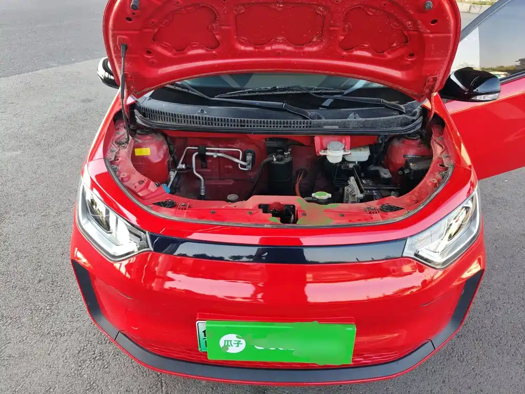 Sehol Flower Fairy 2021 2021 302km Luxury 30.2kWh