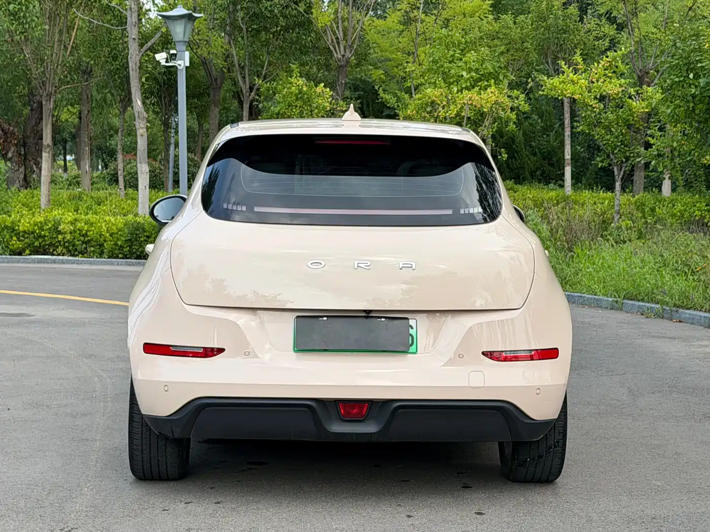 Ora Good Cat GT 2024 2023 Mulan Edition 401km Honor Model