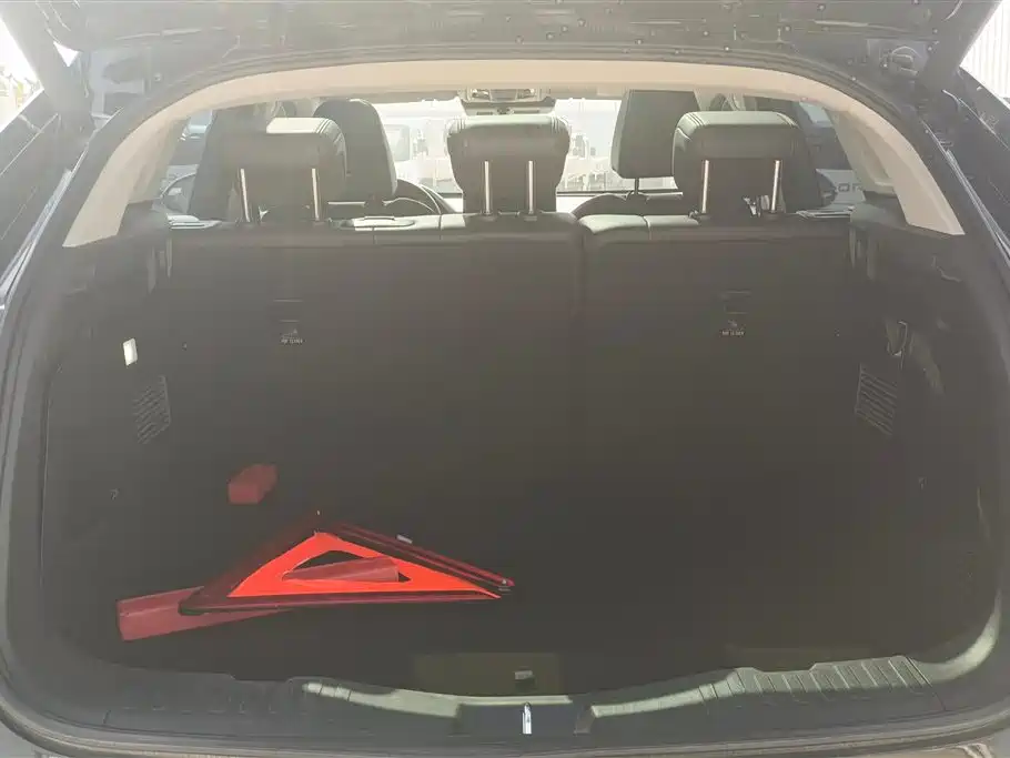 WEI PAI WEI BRAND VV5