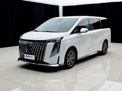 Trumpchi M8