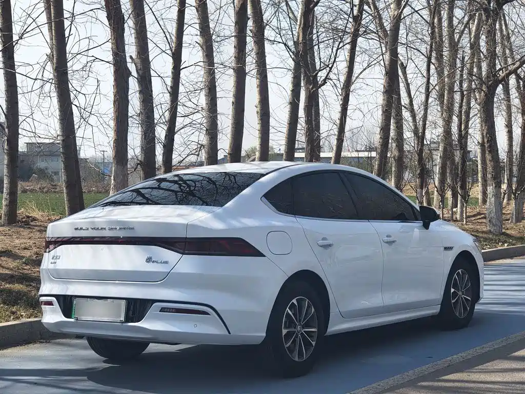 BYD Qin PLUS 2024 Glory Edition DM-i 55KM Leading фото 24