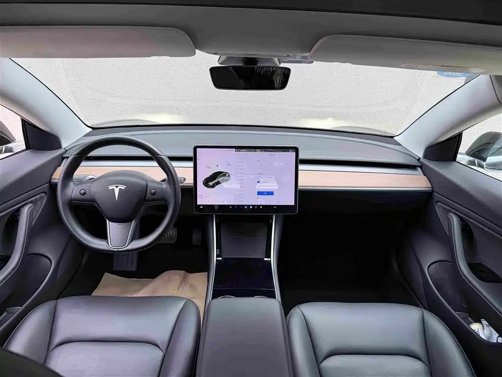 Tesla Model 3 (Import) 2019 2019 Long Range All-Wheel Drive Edition