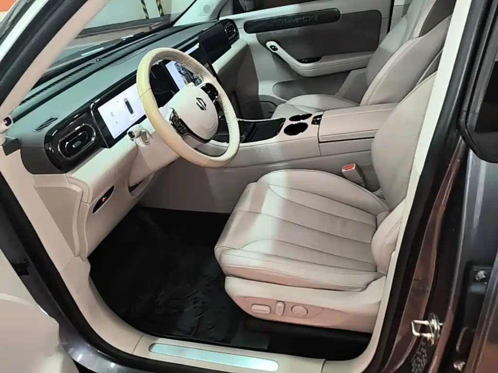 Leapmotor C11 2022 2021 Luxury Edition
