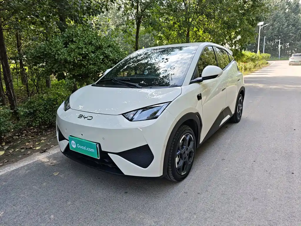 BYD Seagull 2025