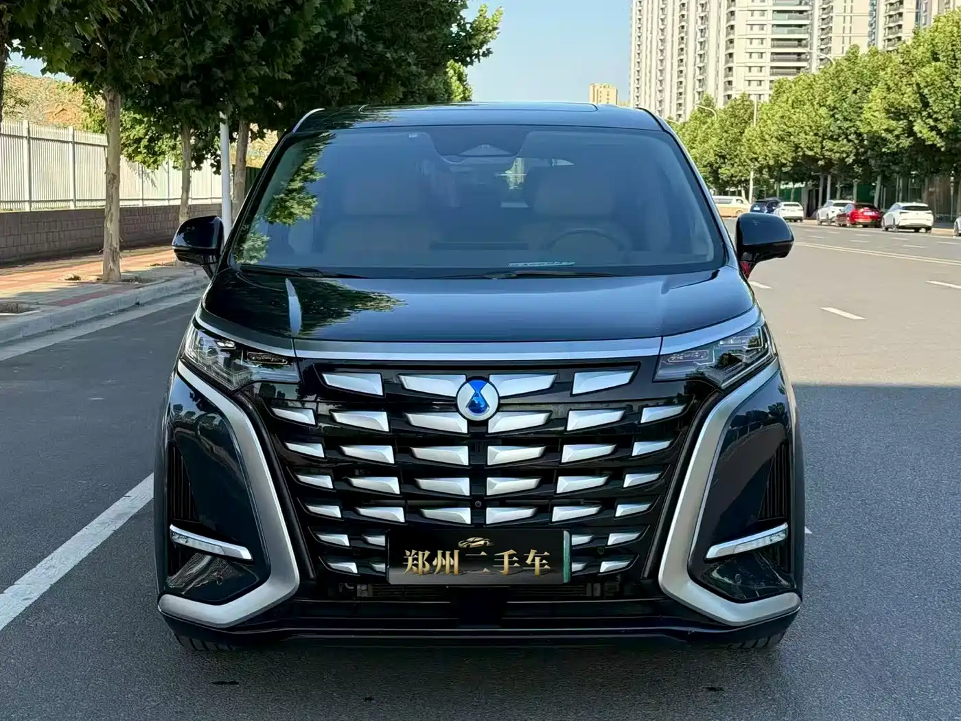 Denza D9 2022 DM-i 970 AWD Flagship фото 2