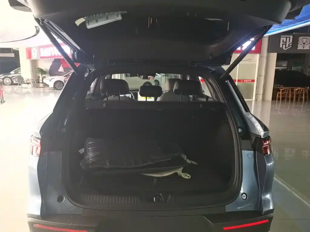 BYD Song Pro New Energy 2025 2nd Generation Smart Drive Edition DM-i 115KM Surpassing Type фото 19