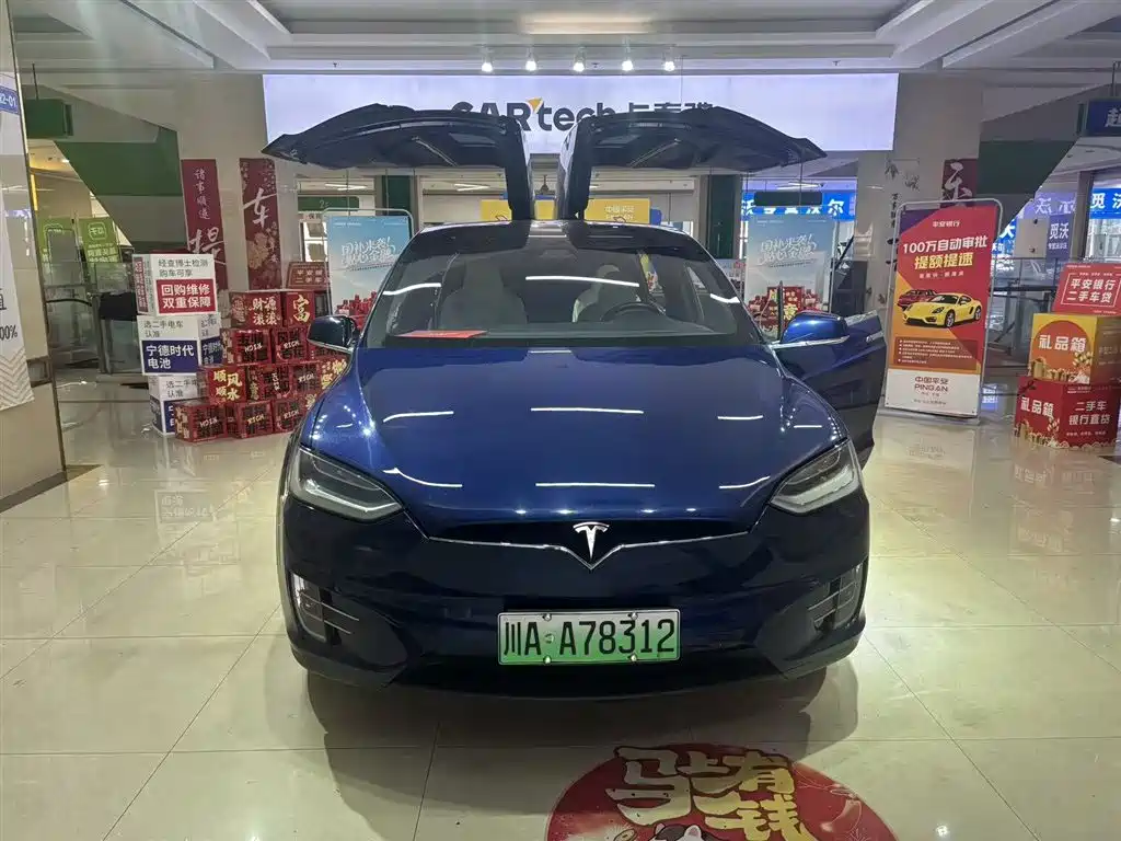TESLA MODEL X