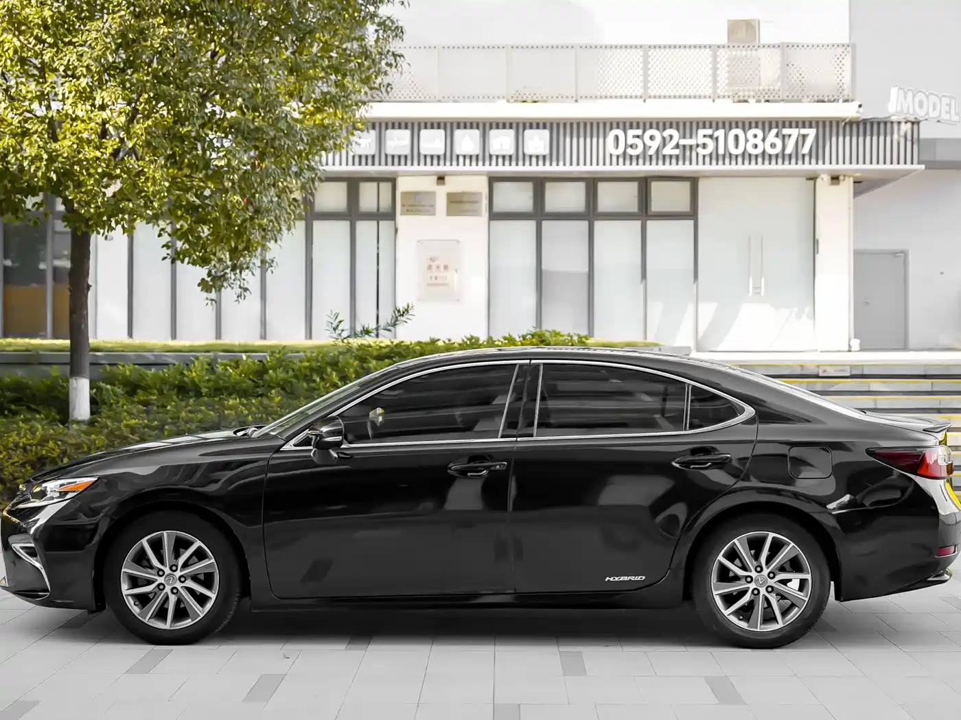Lexus ES 2015 300h Luxury Edition фото 7