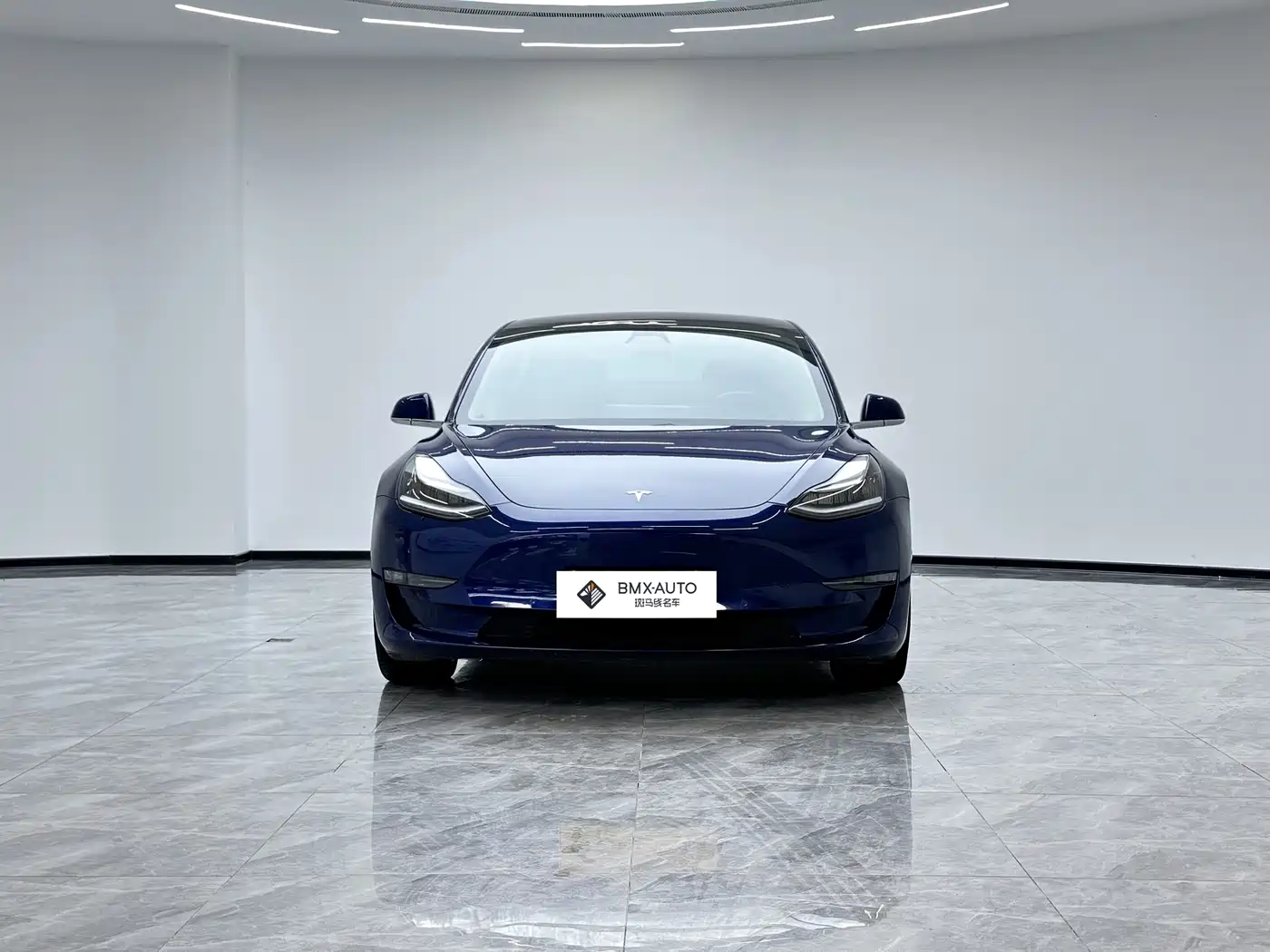 Tesla Model 3 (Import) 2019 2019 Long Range All-Wheel Drive Edition