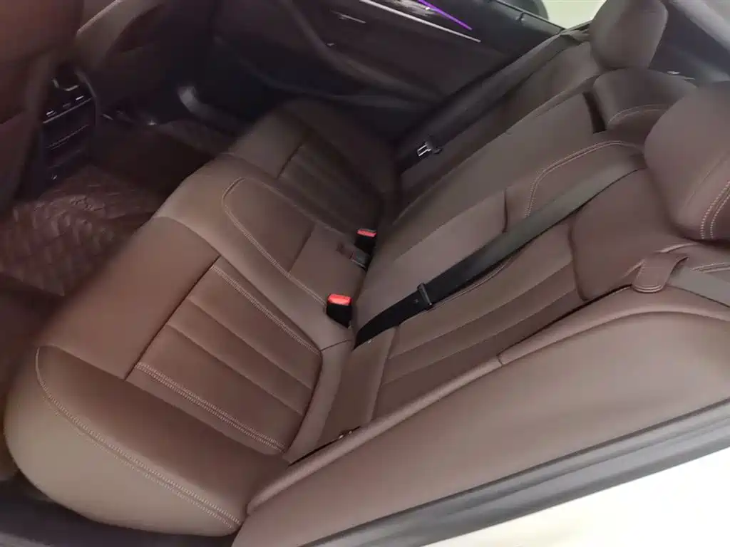 BMW 5 Series 2019 525Li M Sport Package фото 17