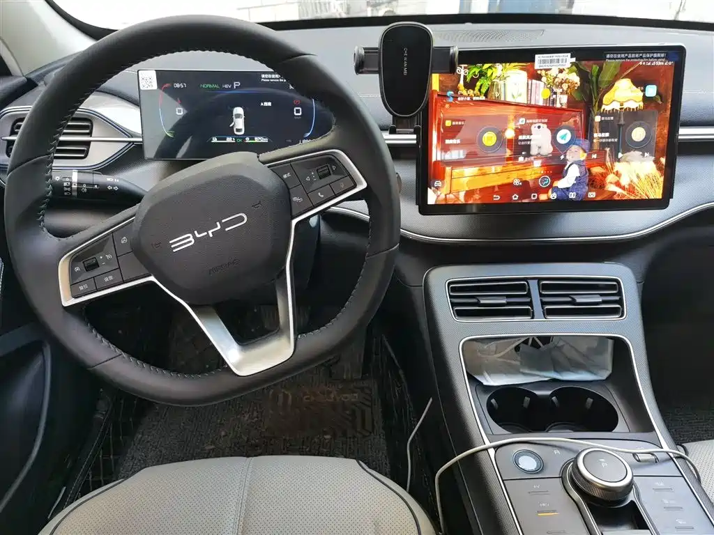BYD Destroyer 05 2024 Glory Edition DM-i 55KM Luxury фото 5