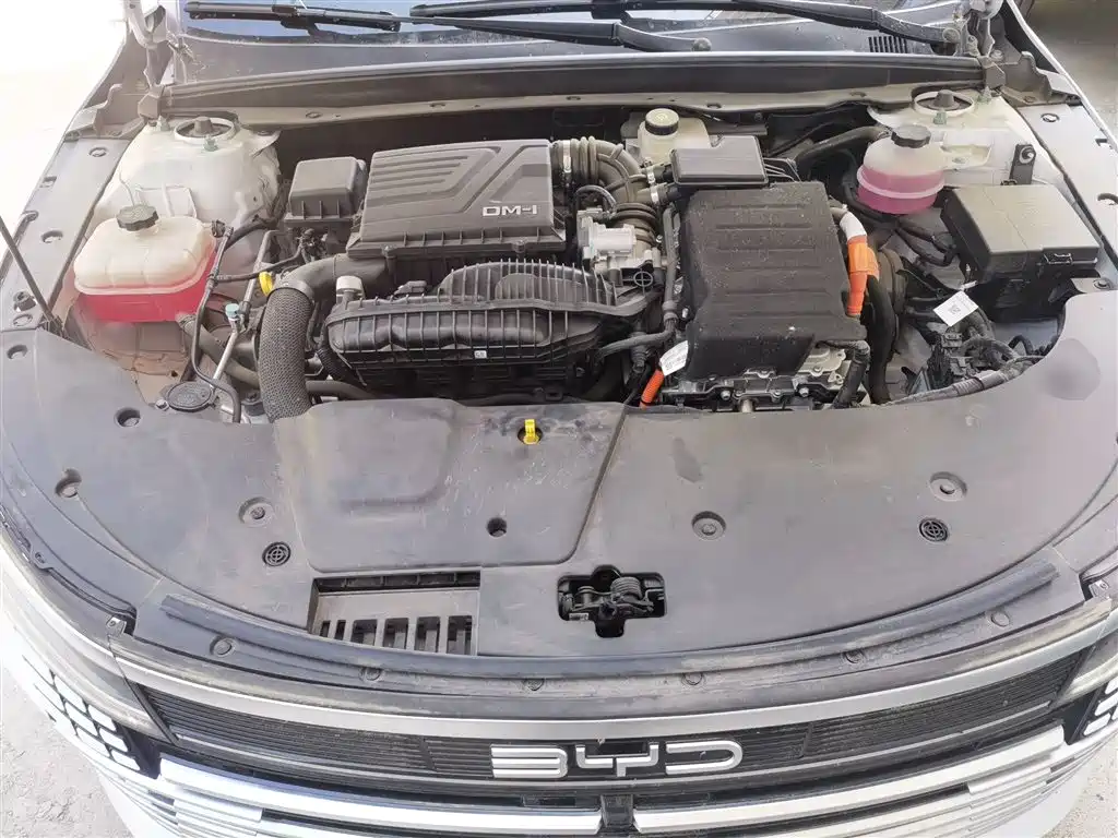 BYD Destroyer 05 2024 Glory Edition DM-i 55KM Luxury фото 16