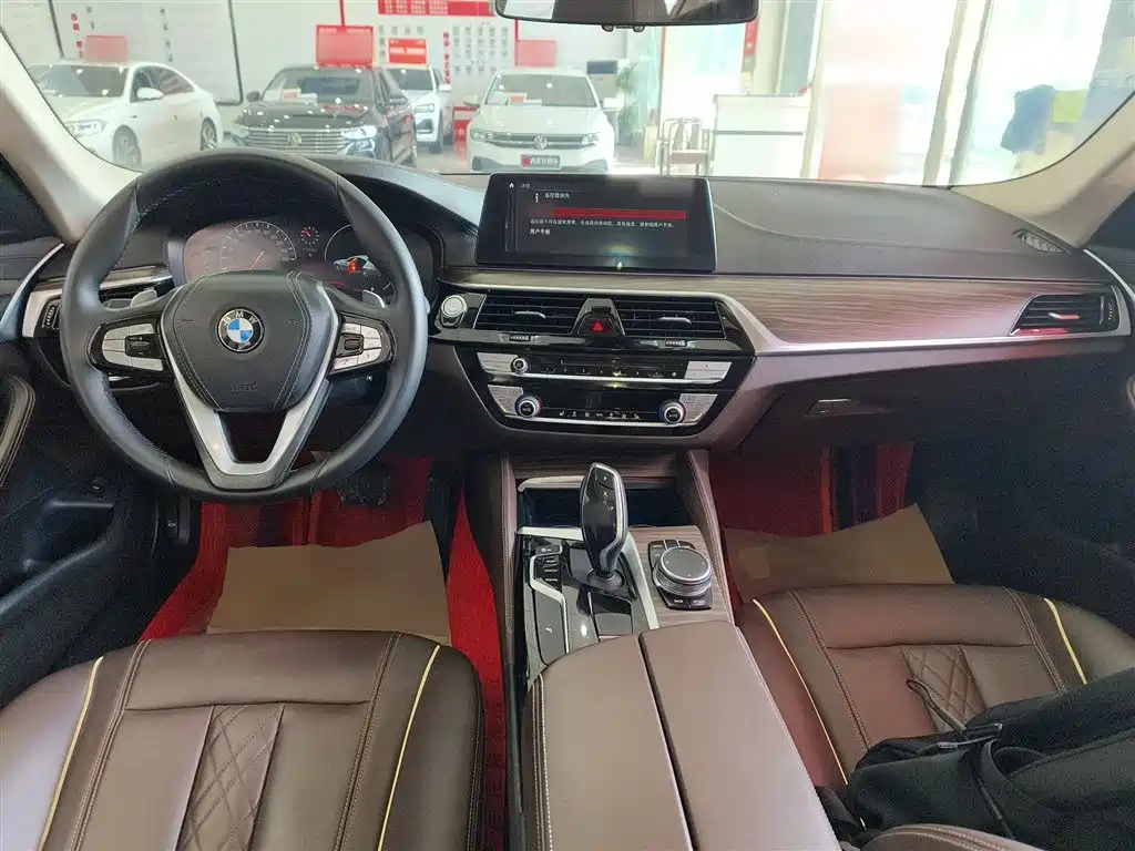 BMW 5 Series 2019 530Li xDrive Luxury Package фото 6