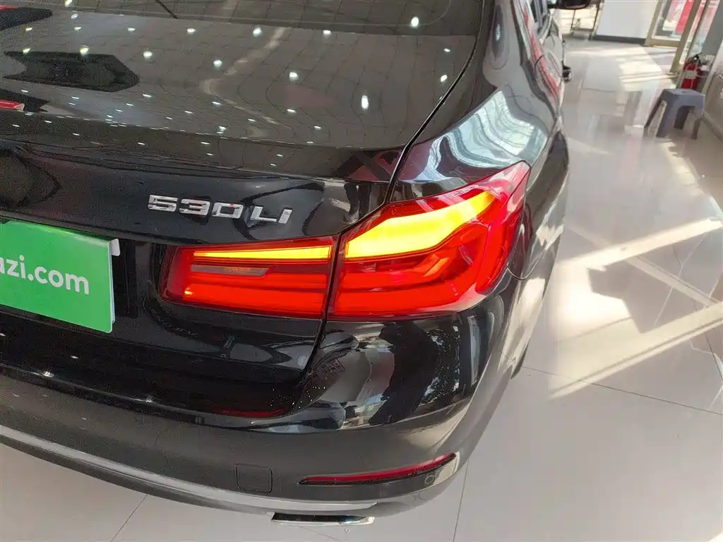 BMW 5 Series 2019 530Li xDrive Luxury Package фото 24