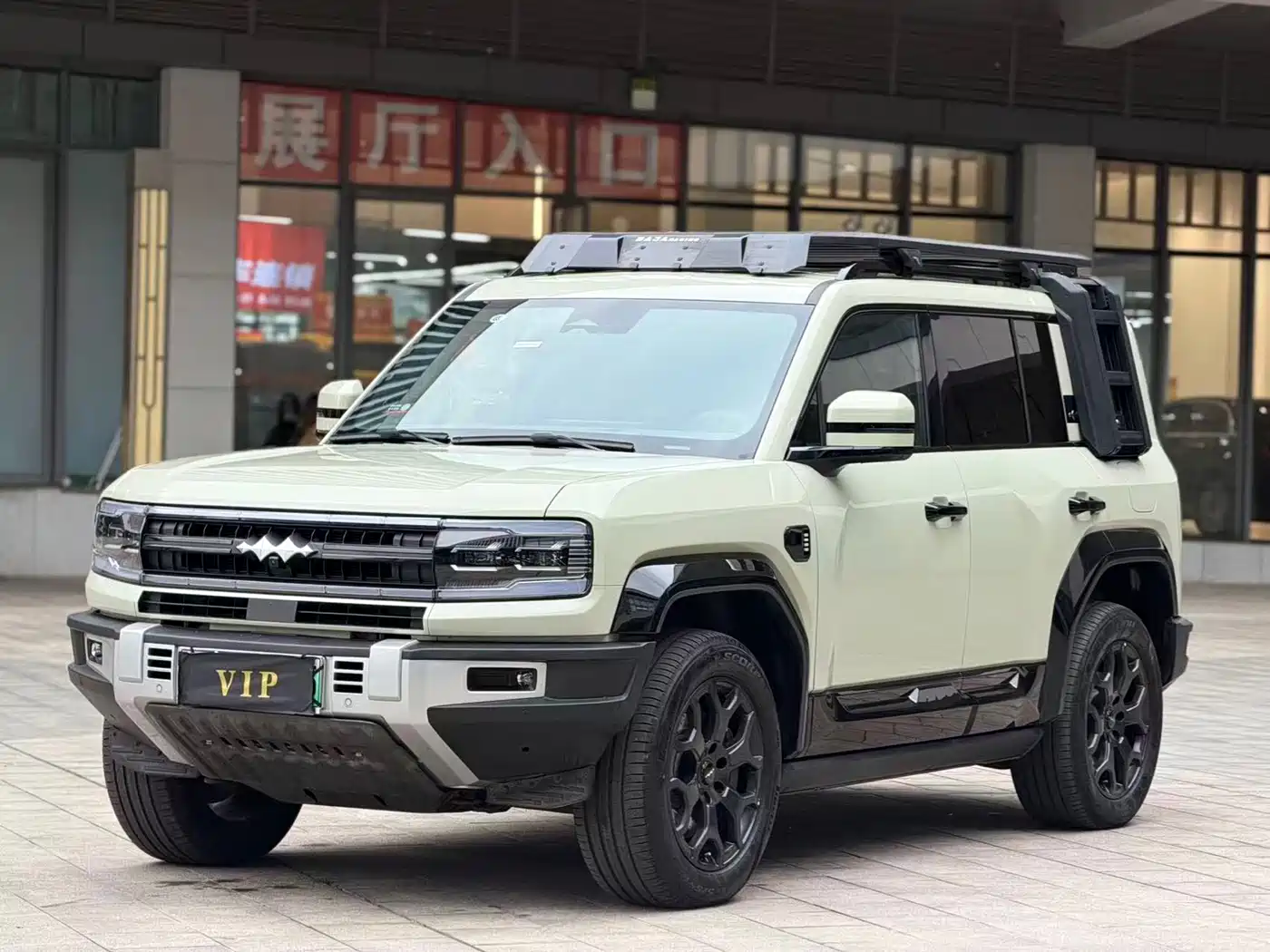 FANG CHENG BAO LEOPARD 5