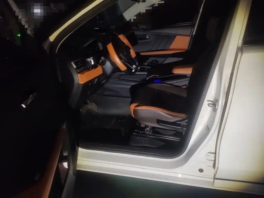 BYD e2 2021 Luxury Edition фото 12