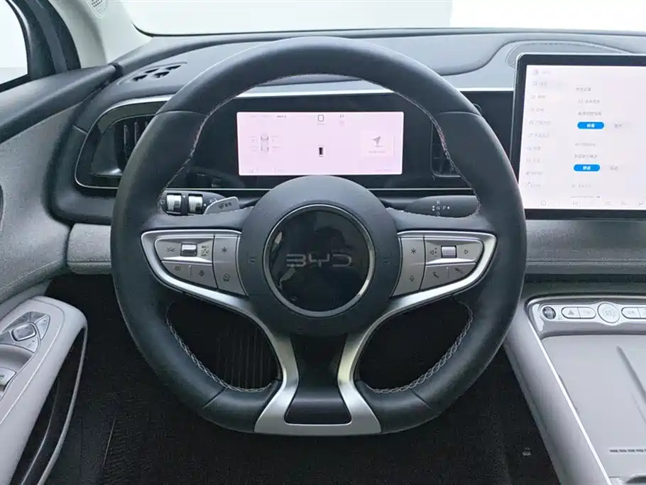 BYD Hai Shi 05 EV 2025 520KM Smart Navigation Edition фото 15