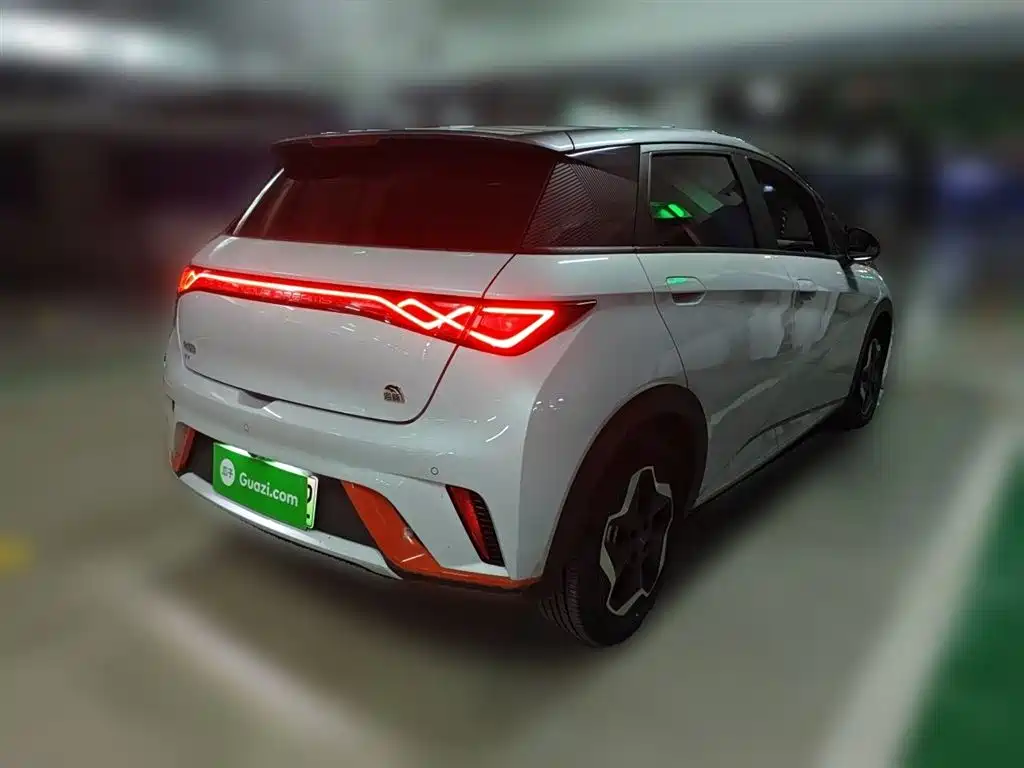BYD Dolphin 2021 Model 405km Fashion Edition фото 4