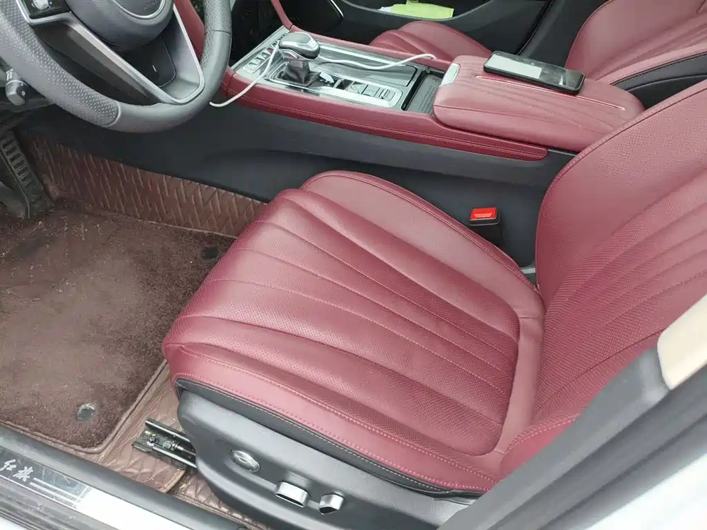 Hongqi H5 2024 2.0T Automatic Smart Connect Flag Smooth Edition фото 11
