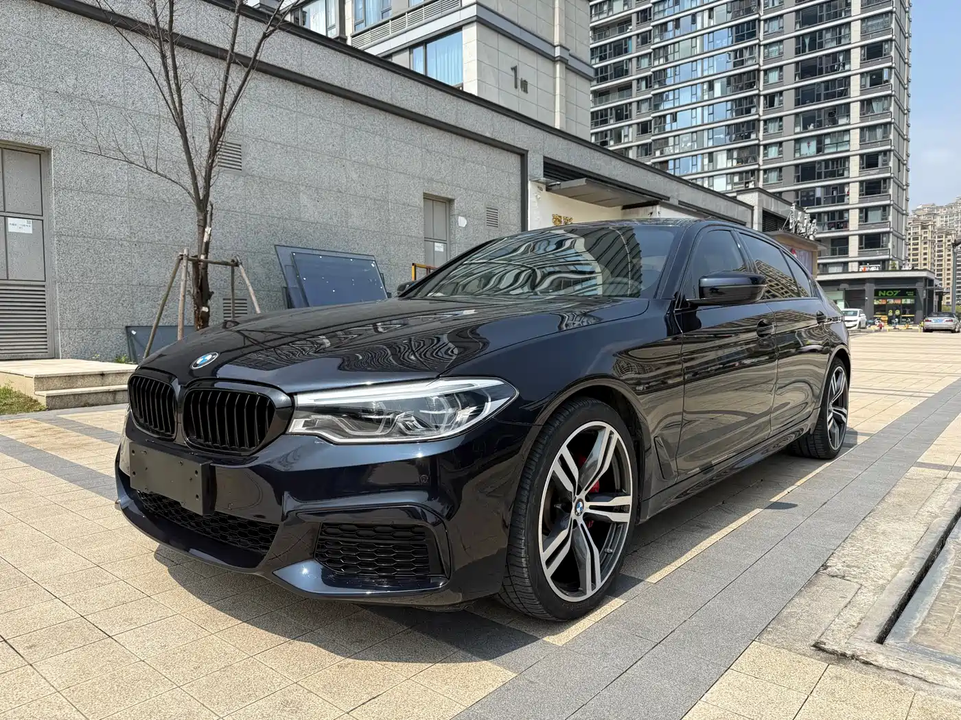 BMW 5 Series 2020 530Li Leading M Sport Package