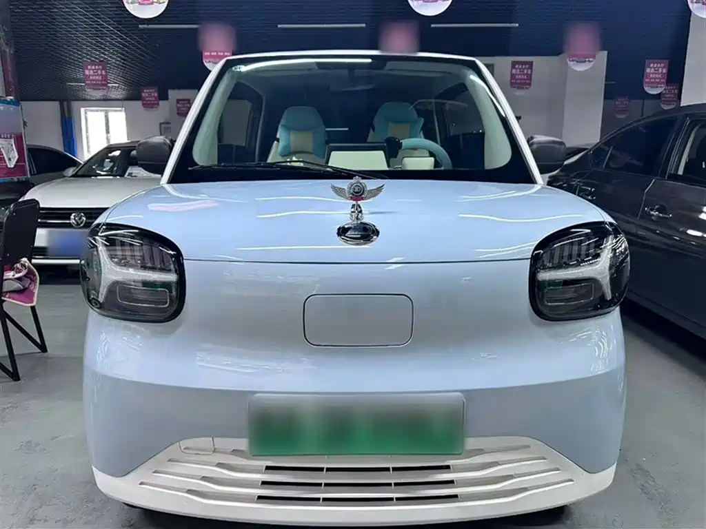 Zhido Rainbow 2025 2025 Pro 205km Sunshine Edition