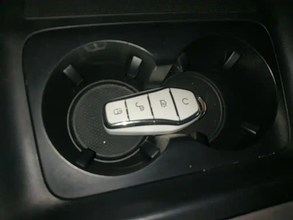 BYD Destroyer 05 2024 Glory Edition DM-i 55KM Luxury фото 9