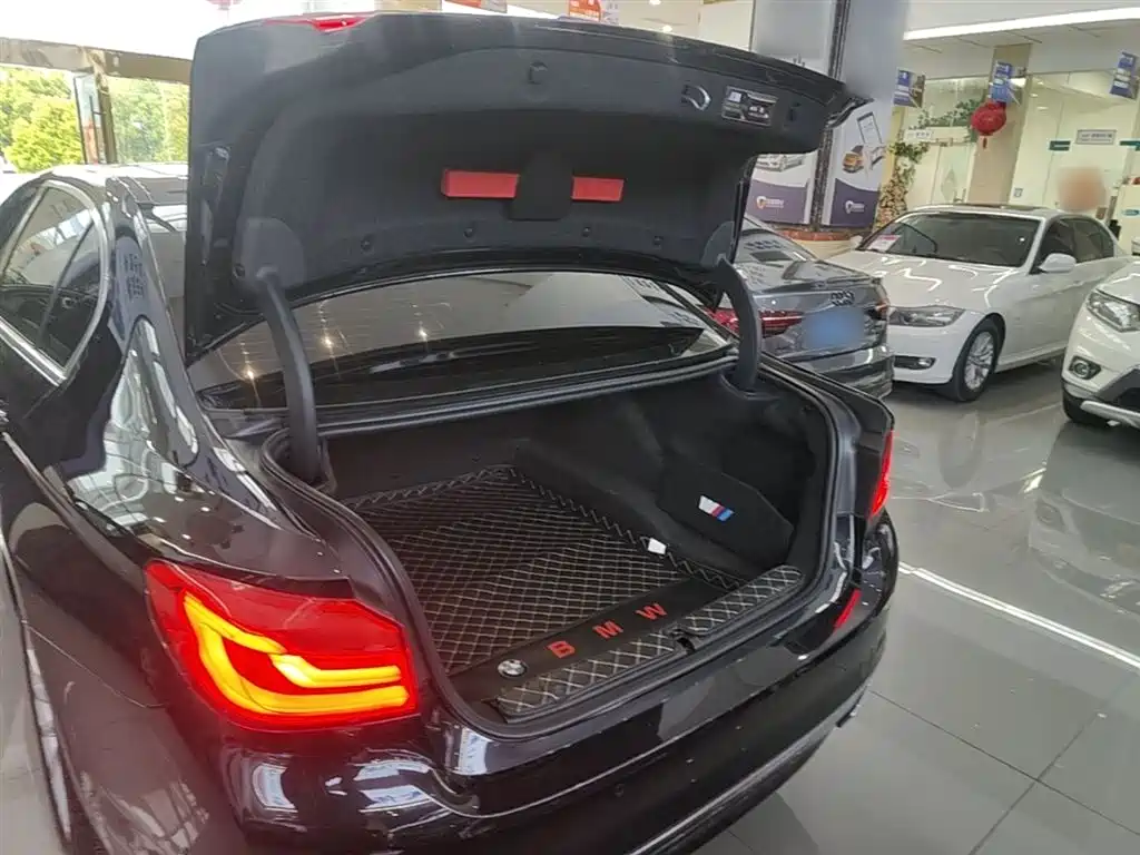 BMW 5 Series 2019 Facelift 530Li Premium Luxury Package фото 19