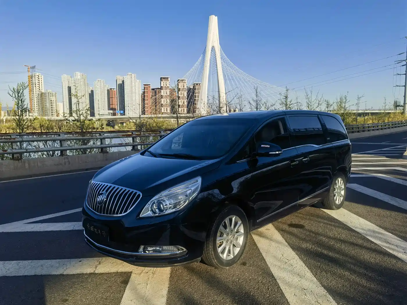 Buick GL8 2011 3.0L GT Luxury Business Elegance Edition