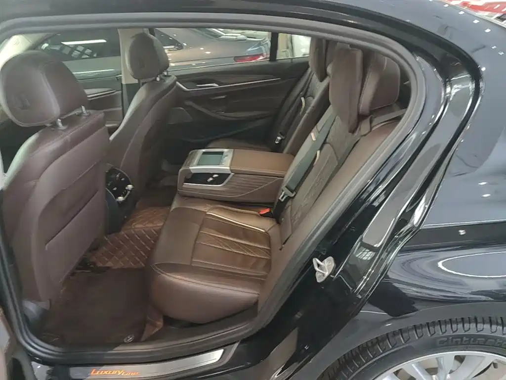 BMW 5 Series 2019 Facelift 530Li Premium Luxury Package фото 17