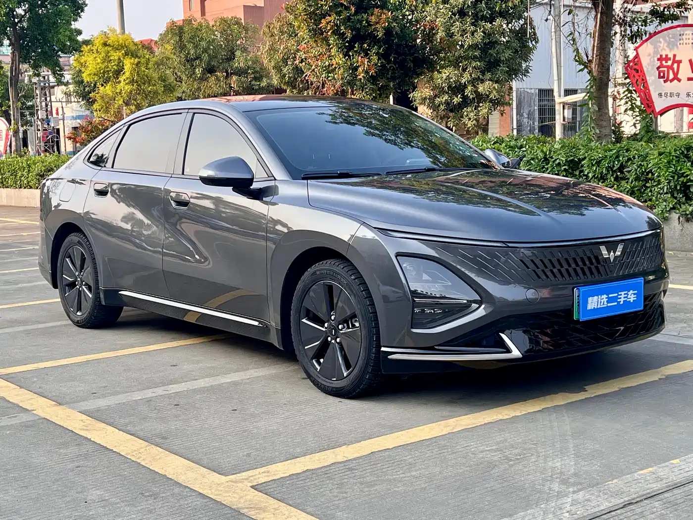 Wuling Motors Wuling Xingguang 2024 2024 Co-Creation Edition 150 Standard