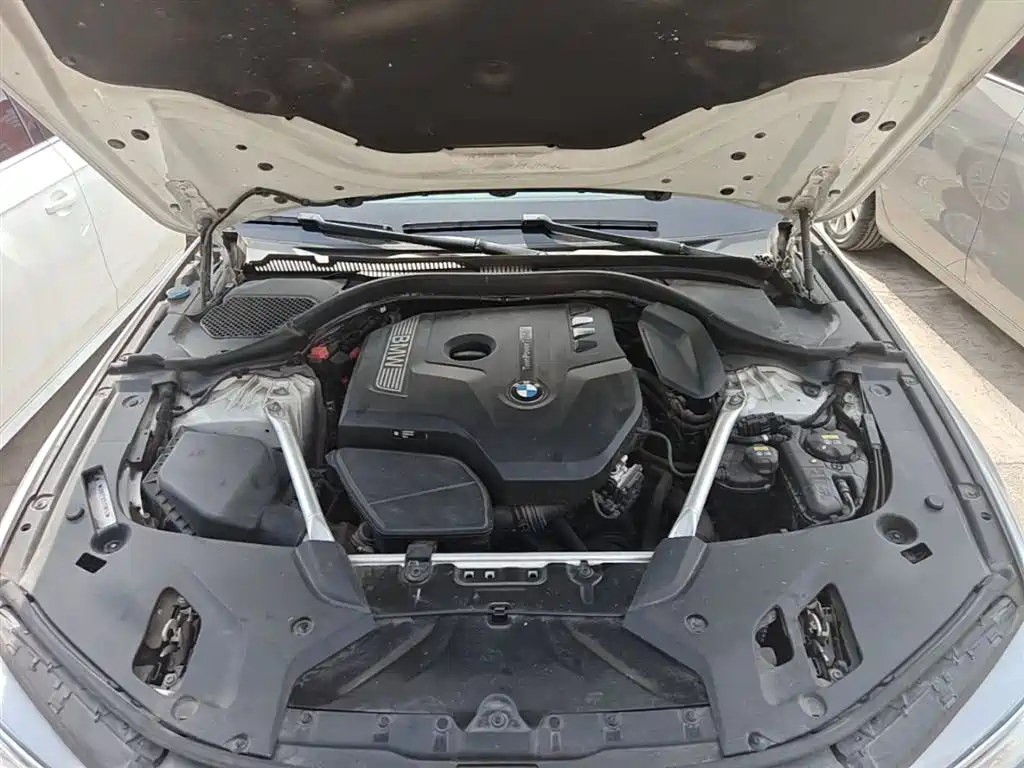 BMW 5 Series 2020 530Li xDrive Luxury Package фото 20