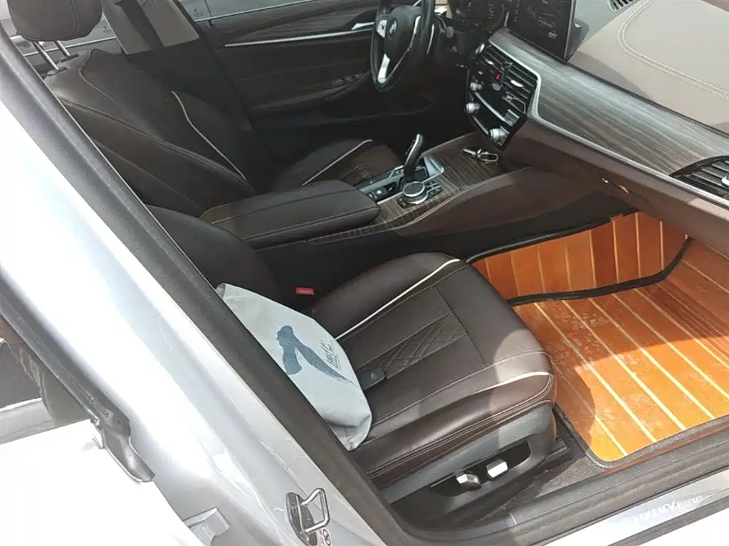 BMW 5 Series 2020 530Li xDrive Luxury Package фото 25