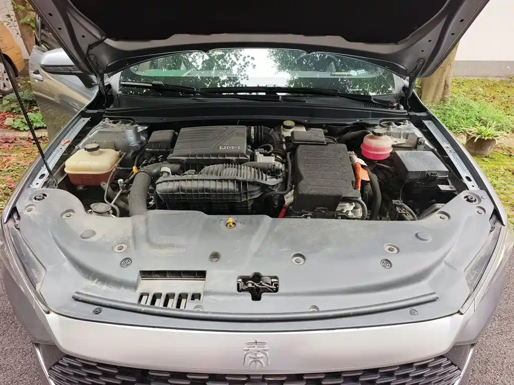 BYD Qin PLUS 2021 DM-i 55KM Flagship фото 17