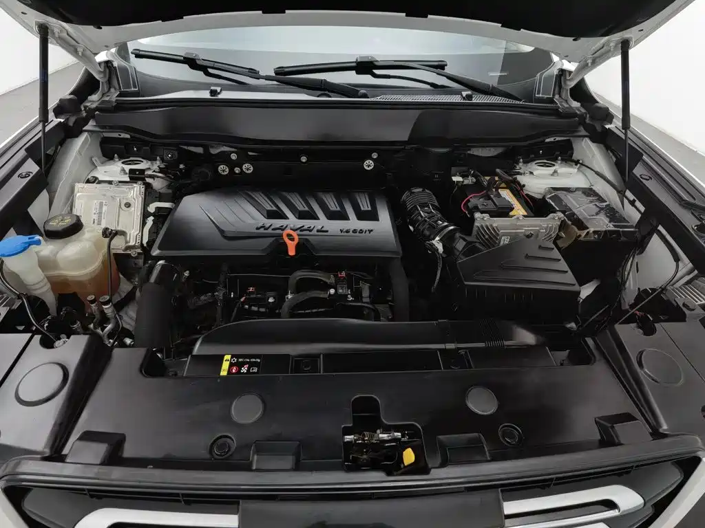 Haval Big Dog, миниатюра 6