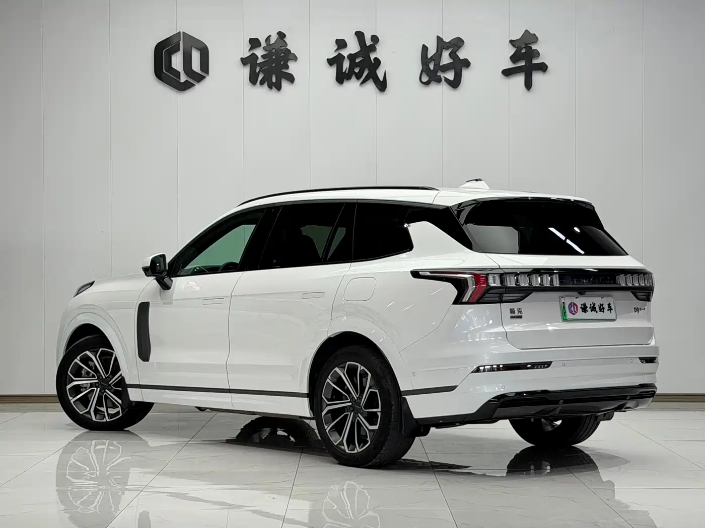 Lynk & Co 09 EM-P 2023 2.0TD EM-P Long Range PM 6-Seater фото 7
