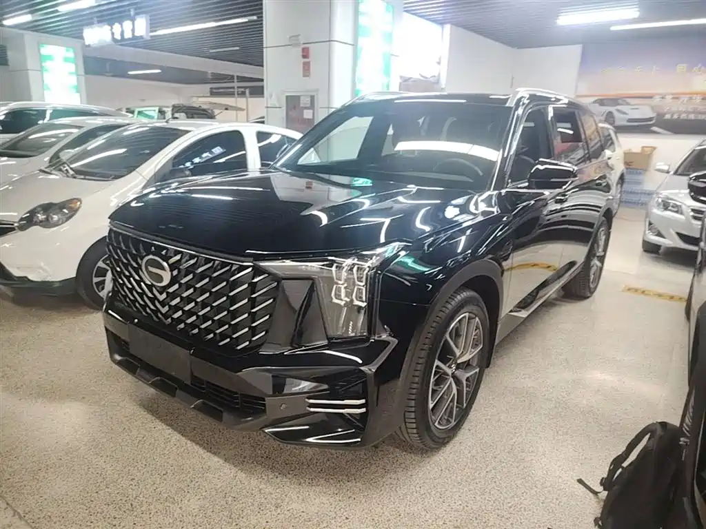 GAC Trumpchi GS8 2025 Pilot Series 2.0TGDI 2WD Luxury Edition 5-seater