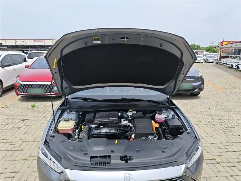 BYD Qin PLUS 2021 DM-i 120KM Premium фото 20