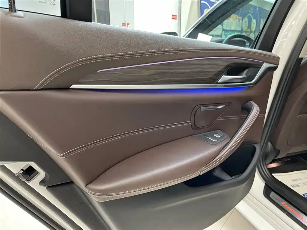BMW 5 Series 2020 530Li xDrive Luxury Package фото 17
