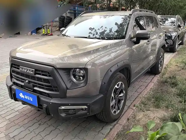 Haval Big Dog 2024 2.0T DCT Chinese Rural Dog Edition