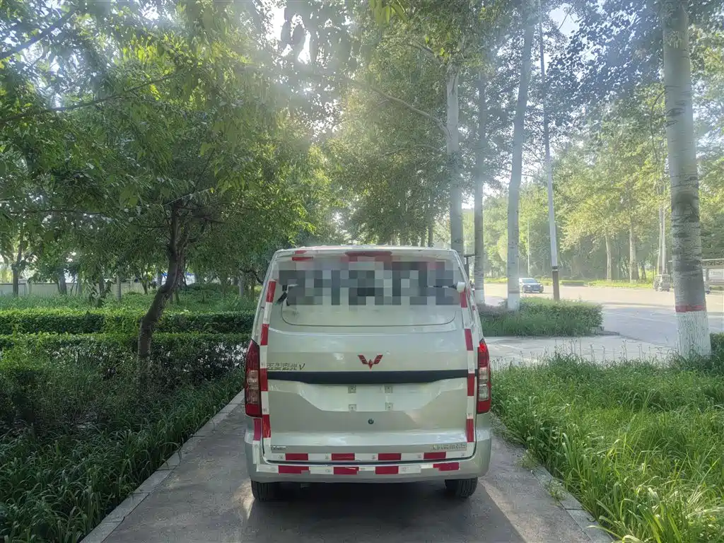 Wuling Motors Wuling Hongguang V 2025 2022 1.5L Dynamic Edition Windowless Van Hydraulic Power Steering LAR